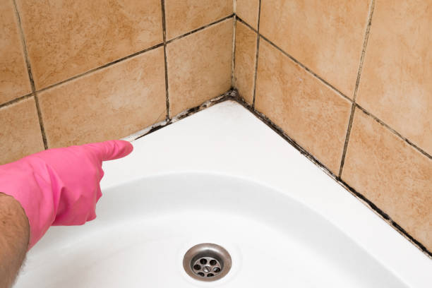 Best Residential Mold Removal  in Ellaville, GA